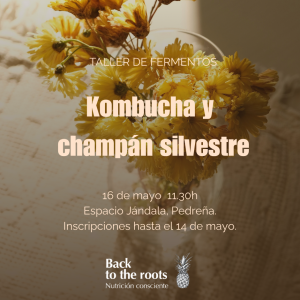 Taller de Fermentación · Kombucha y champán silvestre.